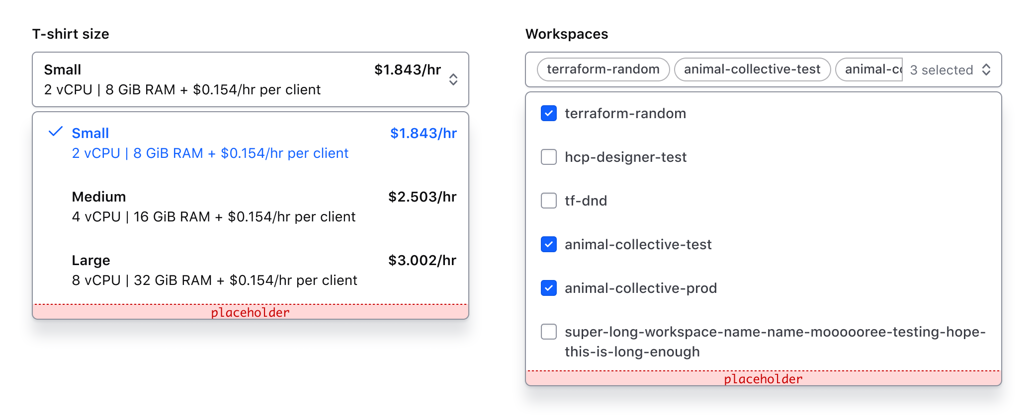 Showing the afterOptions slot with generic content